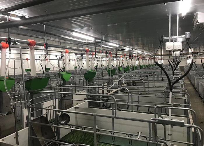 2.4*1.8m Pig Sow Farrowing Crate Pen