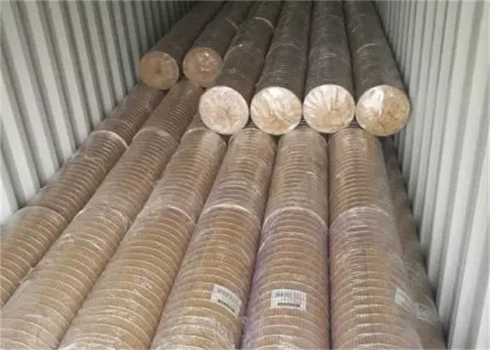6 Gauge PVC Coated 2 X 4 Welded Wire Mesh Screens For Doors / Windows