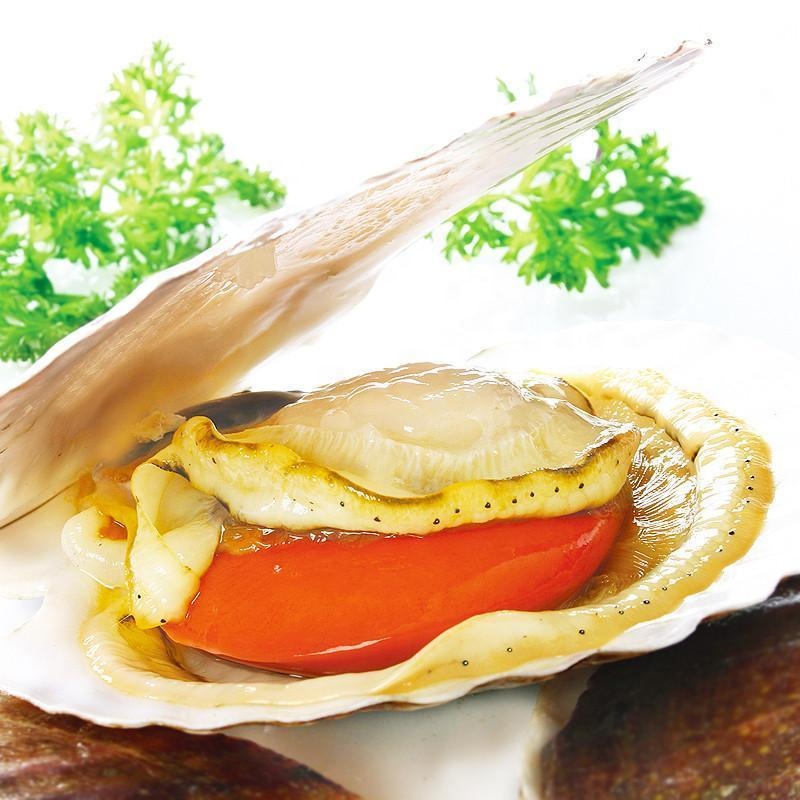 Highly Recommended Frozen Half Shell Scallop with BQF Freezing Process