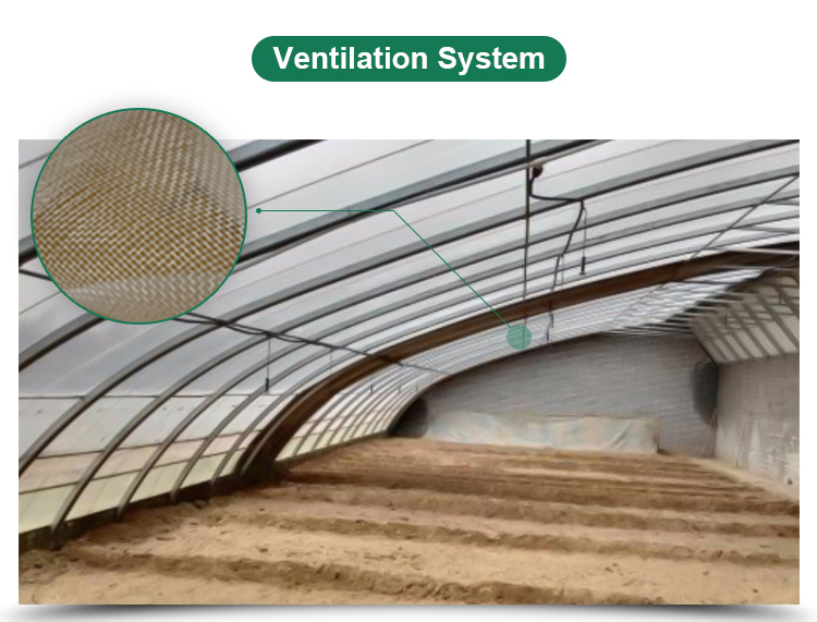 Hydroponic System Included High Strength Solar Greenhouse for Vegetable Fruits Flowers