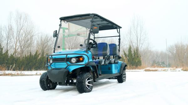 Blue 4-Seat Luxury Electric Golf Cart Can Be Customized Color And LOGO Provides