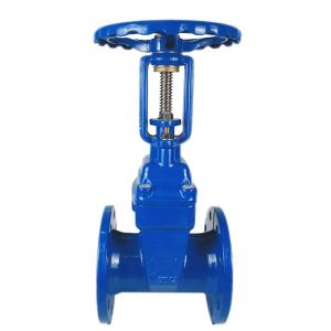 High Performance Flanged Gate Valve For Industrial With Ram Or Wedge Shaped Disc