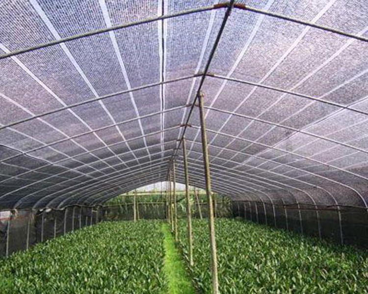 nursery Air Root Pruning Pots made of Hdpe or PVC