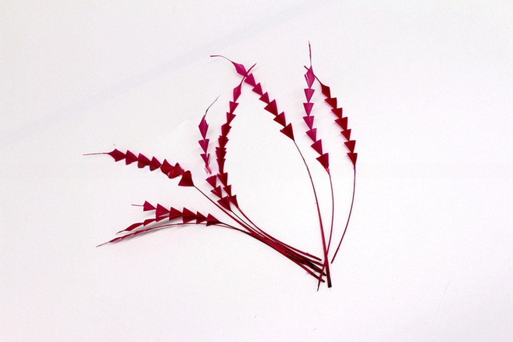 Dyed Stripped Rooster Coque Feathers with Fast Shipping via DHL UPS FEDEX EMS TNT