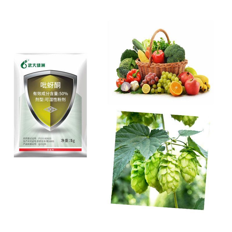 Agricultural Rice Wheat Pesticides 50% Pymetrozine WP Planthopper Aphid Control