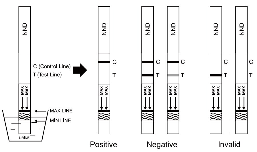 N, N-Dimethyltryptamine Rapid Test Dipstick Detection of NND in urine, DOA Rapid Test