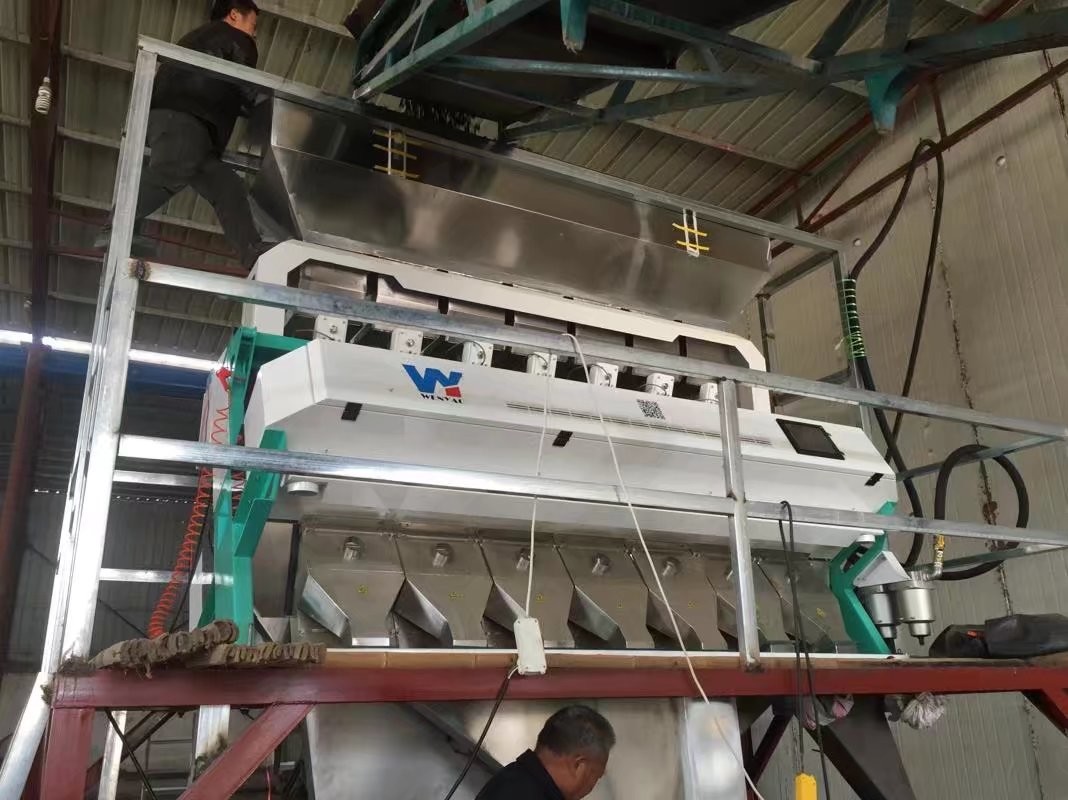 2022 New Design Plastic Flake Color Sorting Machine Made in China For Recycling Plant