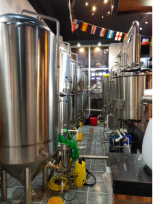 1000L Conical Beer Fermenter for Hotel Beer Fermenting Solution System