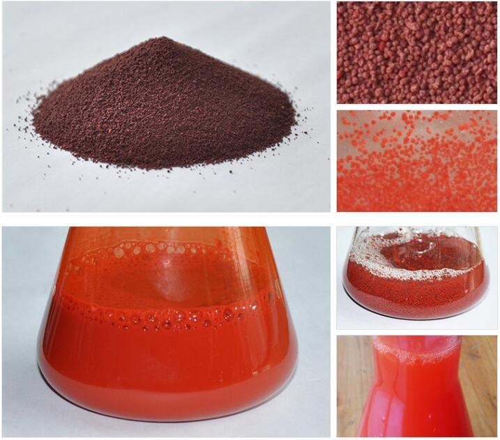 Feeding nutrithional supplement canthaxanthin 10% powder