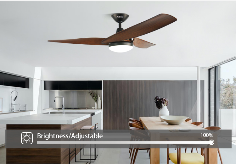 ceiling fan