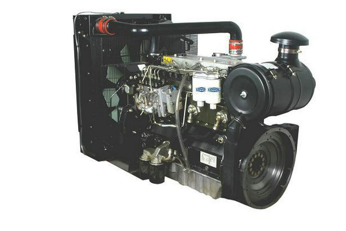 30KW - 58KW Fuel Less Lovol Generators Professional large diesel generators