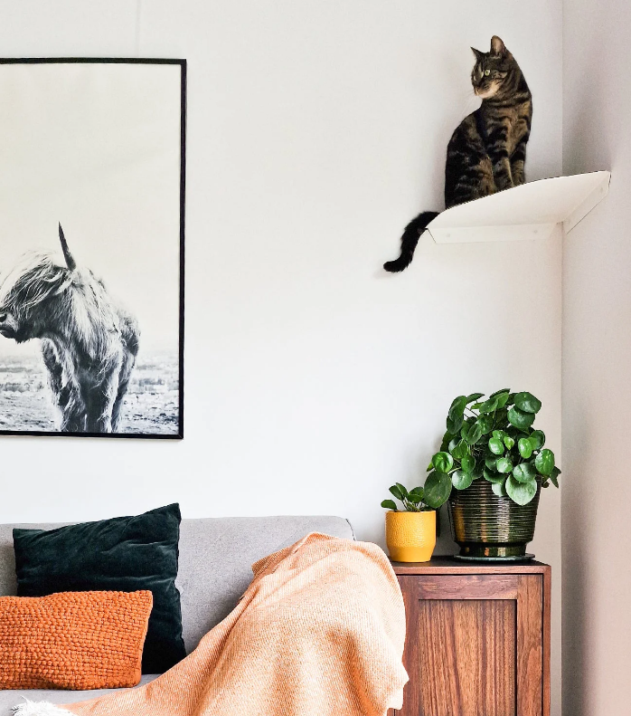 Versatile Steel Cat Wall Shelf Wall Furniture Perch Cat Hammock Bed Metal Cat Climber