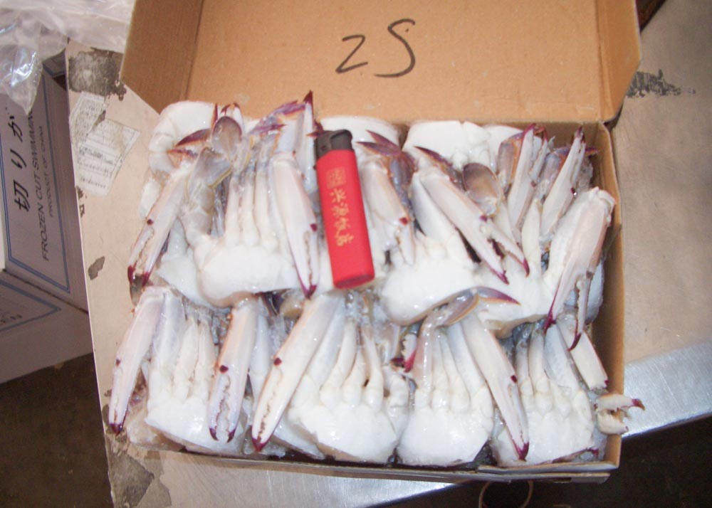 Half Cutted Portunus Crab