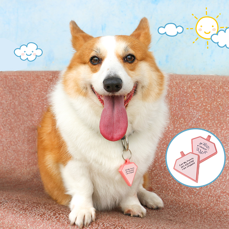 PAISEN Personalized Custom Dog Tags Engraved 3D QR Code Dogs Cat Collar Silicone Pet Tag