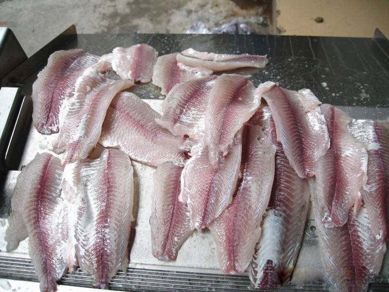 Stainless Steel Tilapia Fish Processing Machine Gutting Killing Gutting Cleaning