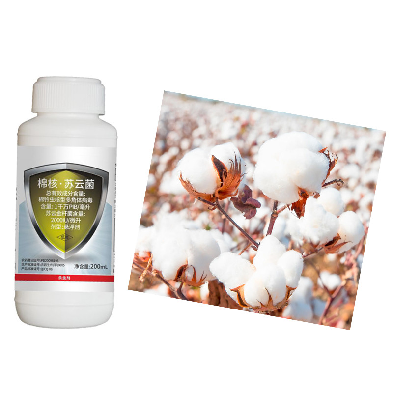 Biological Insecticides Bacillus Thuringiensis Organic Cotton Pesticide NPV Pesticide Killing Cotton Bollworm