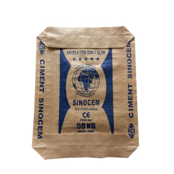 Hot Sale 25KG 40KG 50KG Ad Star Bags PP Block Bottom Bag Cement Valve Bags