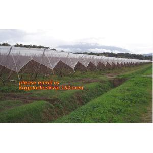 Green Construction Building Scaffolding Safety Net /Safety Mesh Netting