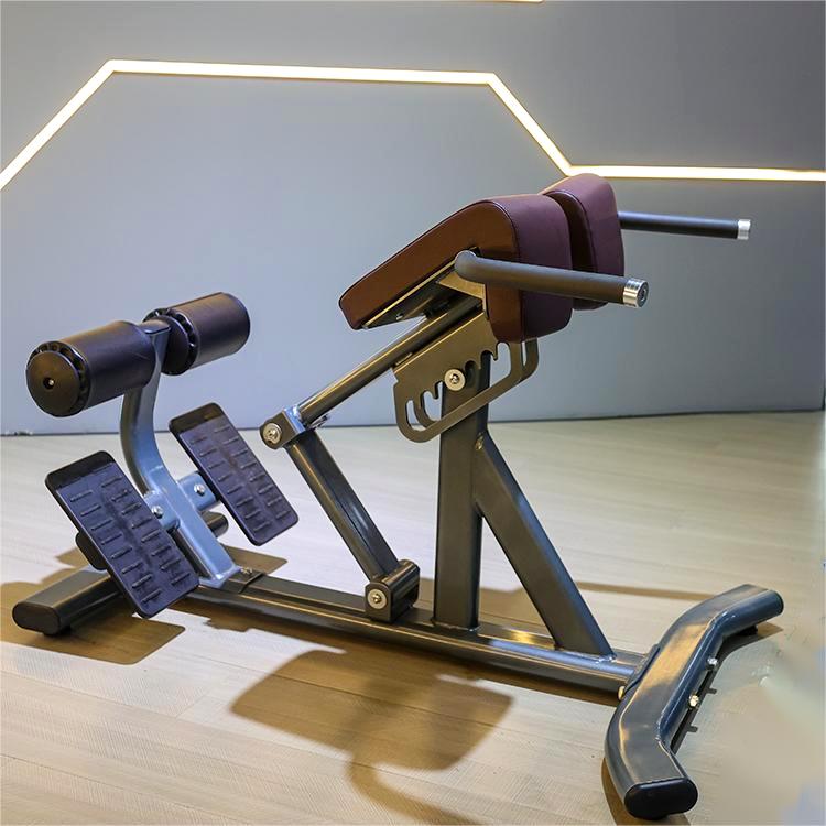 Adjustable Back Extension Roman Chair Home Gym Strength Training Machine for Abdominals and Back Exercise Pin Load Selection