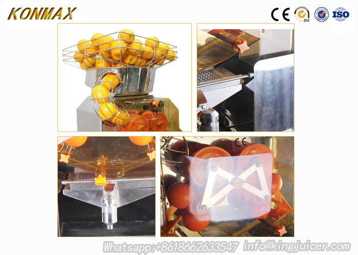 Fruit Juice Extracting Machines
