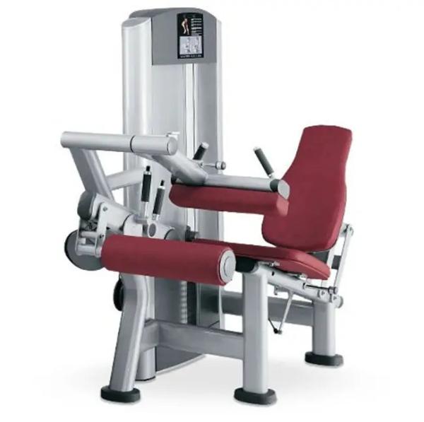 Commercial Gym Equipment Pin Loaded 2 in 1 Adjustable Seated Leg Extension Leg