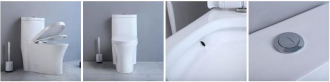 Commercial Ada Bathrooms Toilets For Physically Handicapped Challenged Person 3