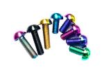 Titanium Alloy Screw Motorcycle Brake Disc Screw with Customized Colorful