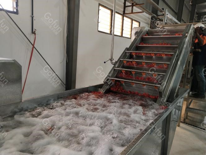 20T/H Automatic Tomato Processing Machine 304 Stainless Steel