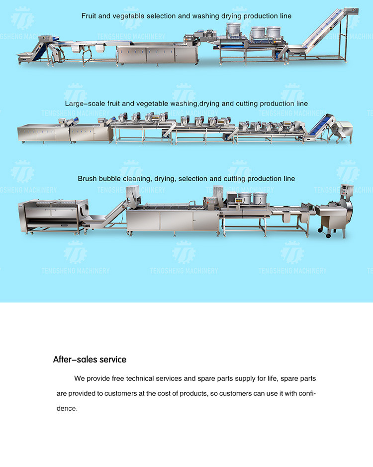 165MM Belt Industrial Vegetable Processing Machine Fruit Selection Washing Cutting Machine