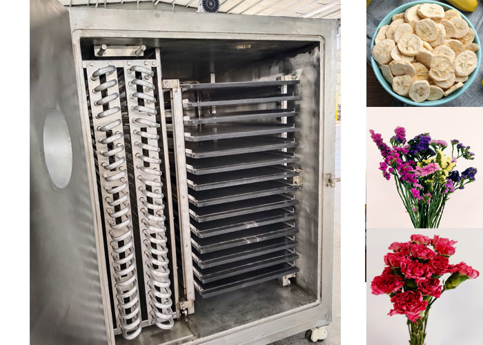 OEM / ODM Food Vacuum Freeze Dryer Experience Unmatched Freeze Drying Performance