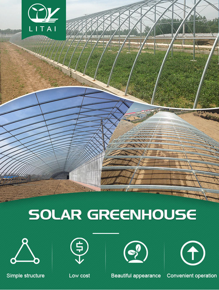 Hydroponic System Included High Strength Solar Greenhouse for Vegetable Fruits Flowers