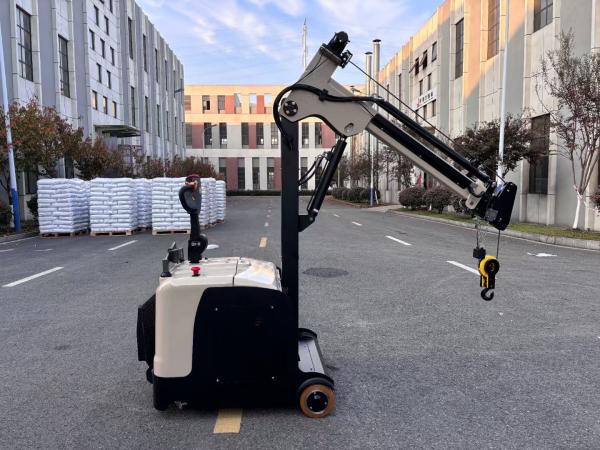 300 KG Lifting Capacity Non Standard Electric Crane Arm Counter Balance Forklift