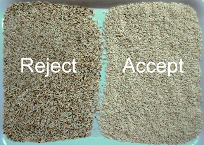 3 Chutes Rice Color Sorter Sort Out Black Seeds Intelligent Multipurpore Colour Sorting Machine