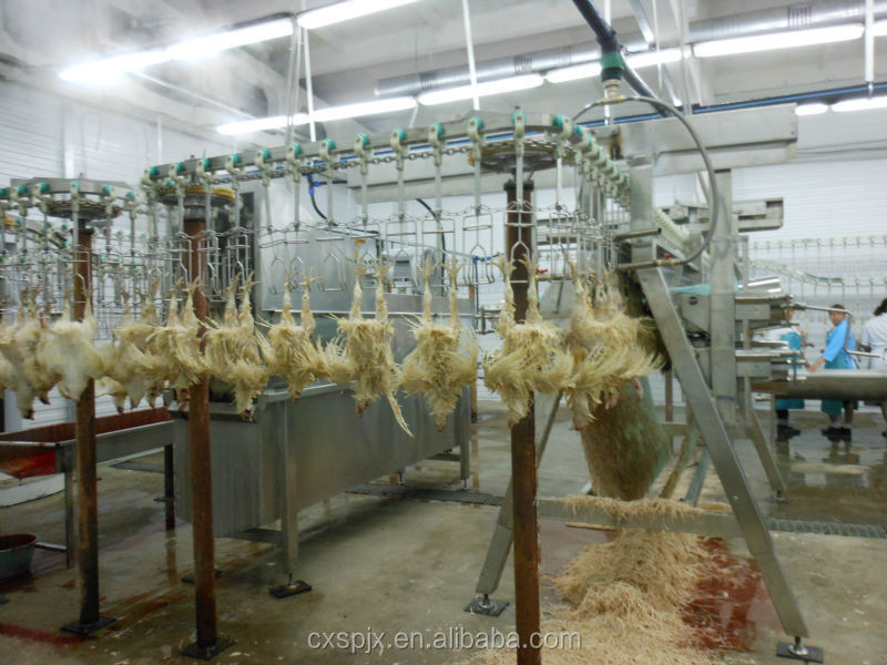 2000BPH Poultry Butchering Equipment SS 304 Automatic Chicken Slaughter Line