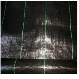  Circular Weaving Polypropylene Ground Cover , Landscape Ground Cover Fabric Manufactures