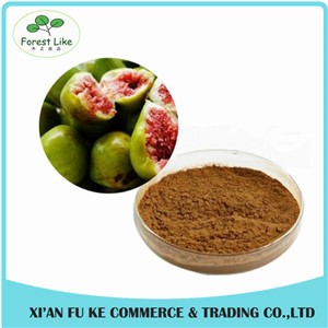 2017 New Product GMP Manufacture Supply Water-soluble Organic Fig Fruit Extract