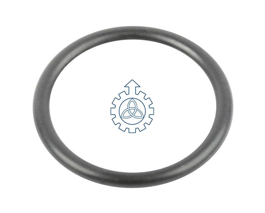O-ring 17916385