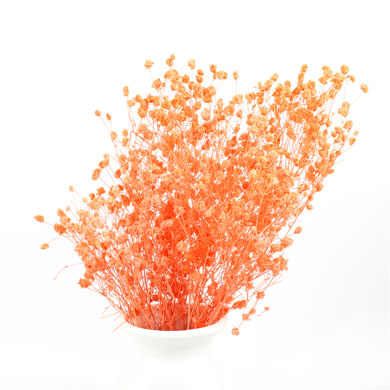 Multicolor Beautiful Dried Flowers Baby'S Breath Wedding Table Decorations