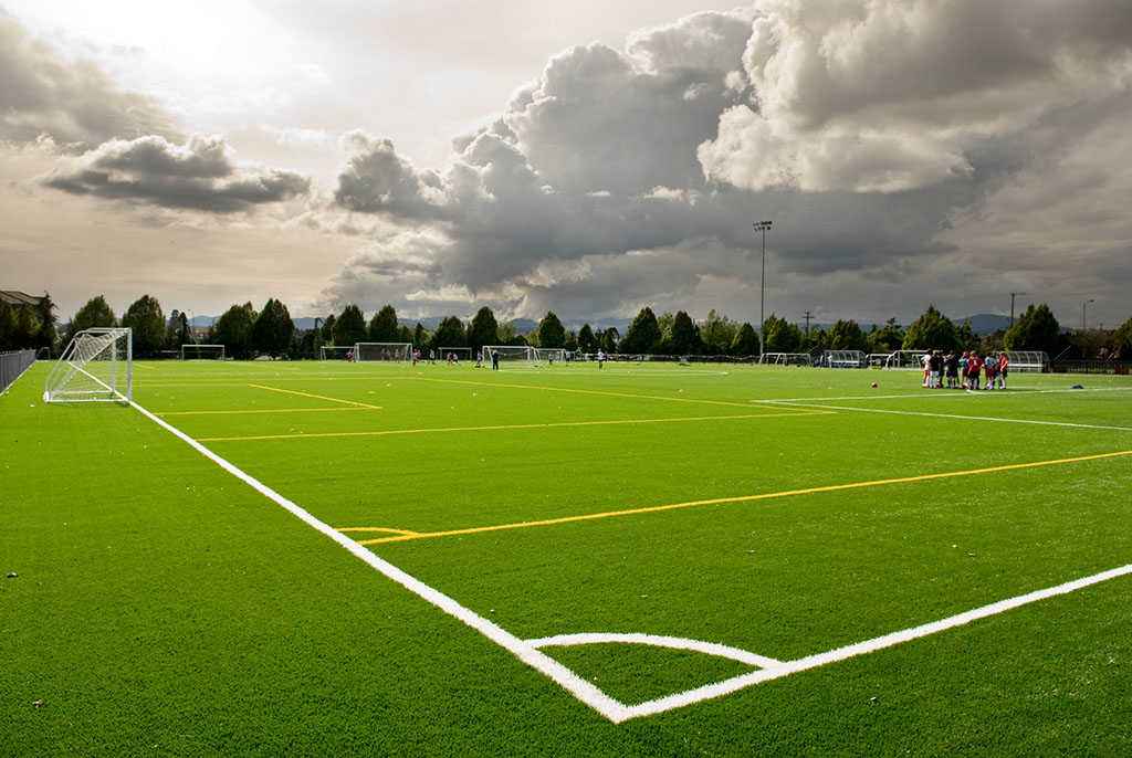 Natural Feeling Mini Artificial Grass Soccer Field / Fake Lawn Turf For Football Stadium