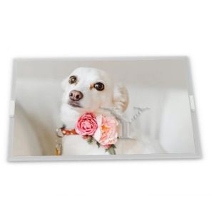 LMG6400PLGR LCD 5.1-Inch WLED LCD Display Module 240*128 Resolution LCD Modules from ODM Supplier