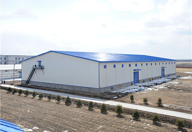 10 Years Experience in R D Design Manufacturing Exportation and After-sales Support for Customized Steel Structure Warehouse