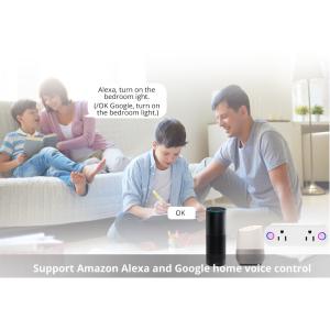wifi smart plug with dual US sockets