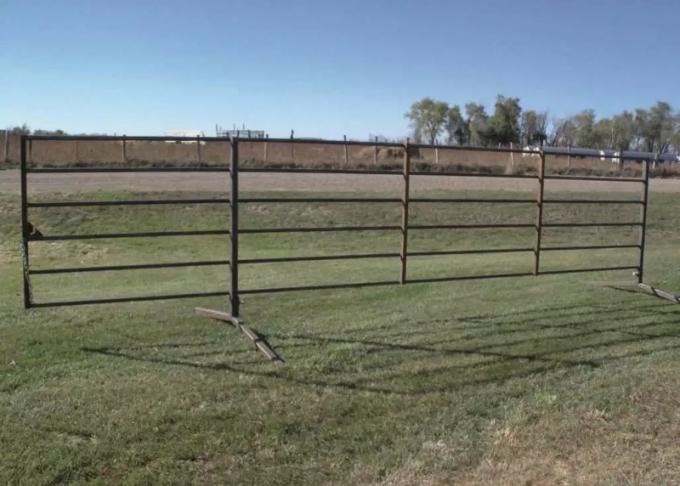 Yard Horse Corral Panels , Horse Fence Panels Metal Yube Materials