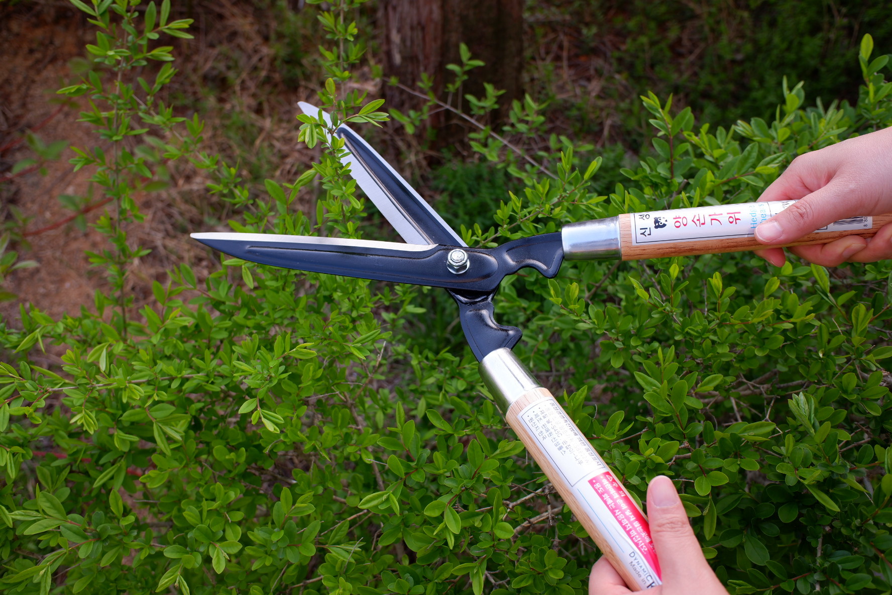 SINSEUNG SB802W Hedge Shears Garden Hedge Clippers Shears SET Super Pruning Shears