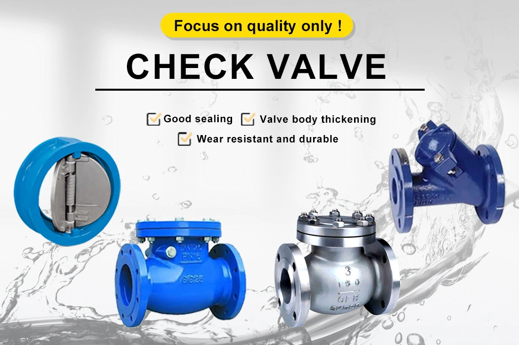 Stainless Steel Pn25 DN 50 Wafer Lift Single Plate Swing Check Valve for Drain Valve