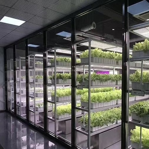 Reefer Container Vegetable Greenhouse