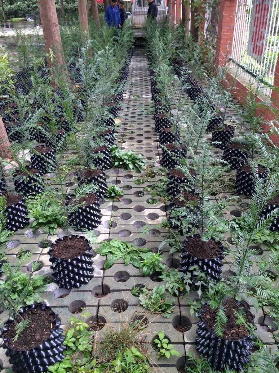 HDPE material black plastic root control pots for Oak
