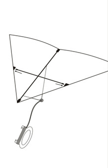 Single Line Pvc Fabric bag of Delta Wing Kite With Polyester Material