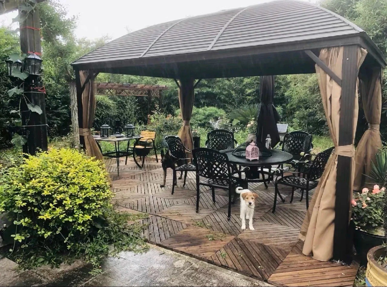 Outdoor Cedar Wood Hardtop Gazebo Spruce Wood Asphalt Roof For Backyard Lawns