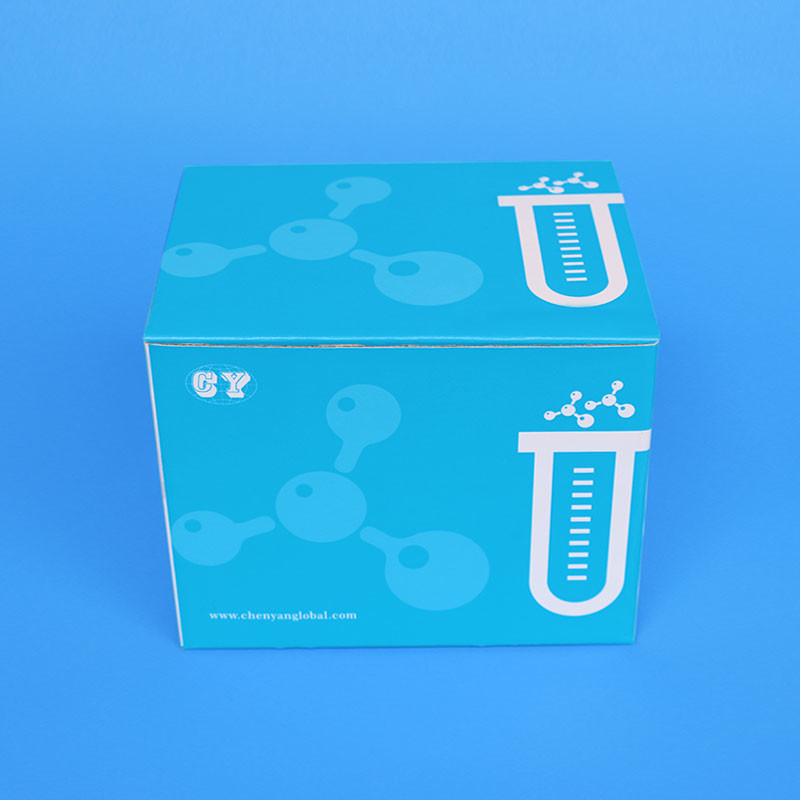 PCR Disposable DNA Extraction Kits